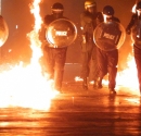 Duis ultricies quam egestas nibh mollis