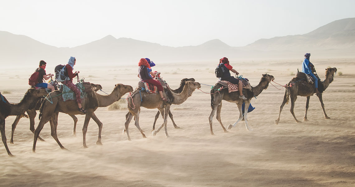 20 Trip Ideas From the Accidental Wes Anderson Subreddit