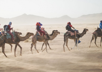 20 Trip Ideas From the Accidental Wes Anderson Subreddit 