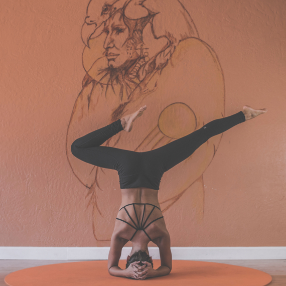 Total Barre Instructor Foundation Course