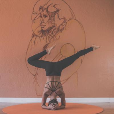 Free Fitness And Leisure