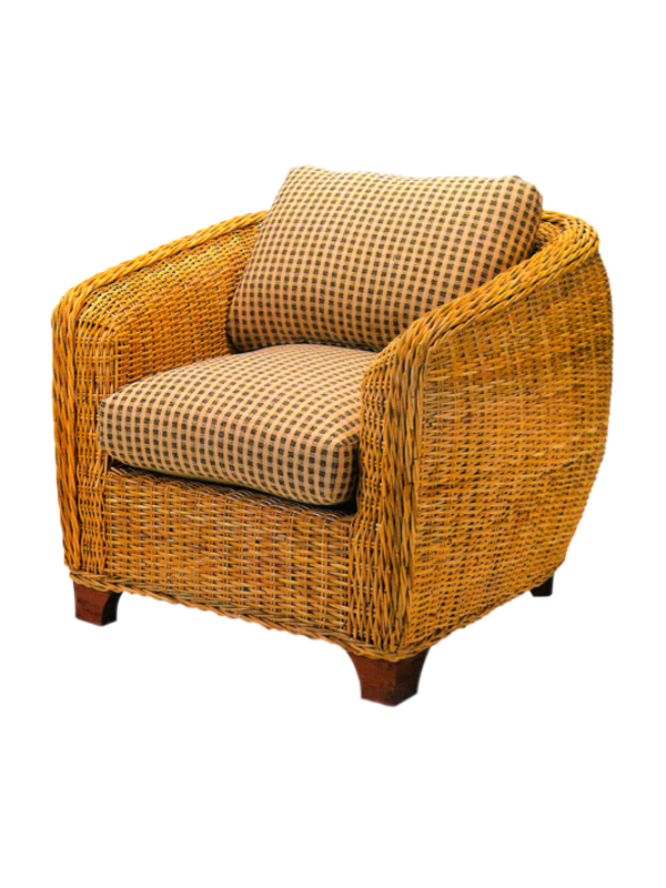 Louis XVI style fauteuil gold foiled chair