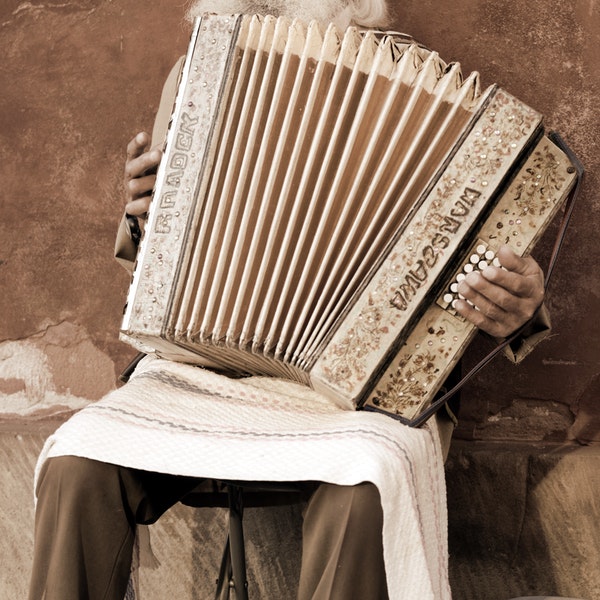 Understanding Nutrition as Seniors Age