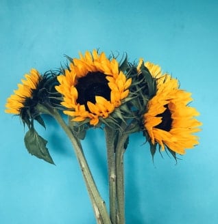 We Regularly Upload Photos.