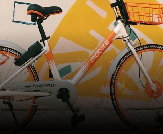 Want to Make More Baskets? Has Science the